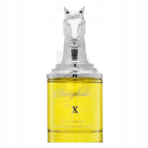 Armaf Bucephalus No. X parfémovaná voda pro muže 100 ml