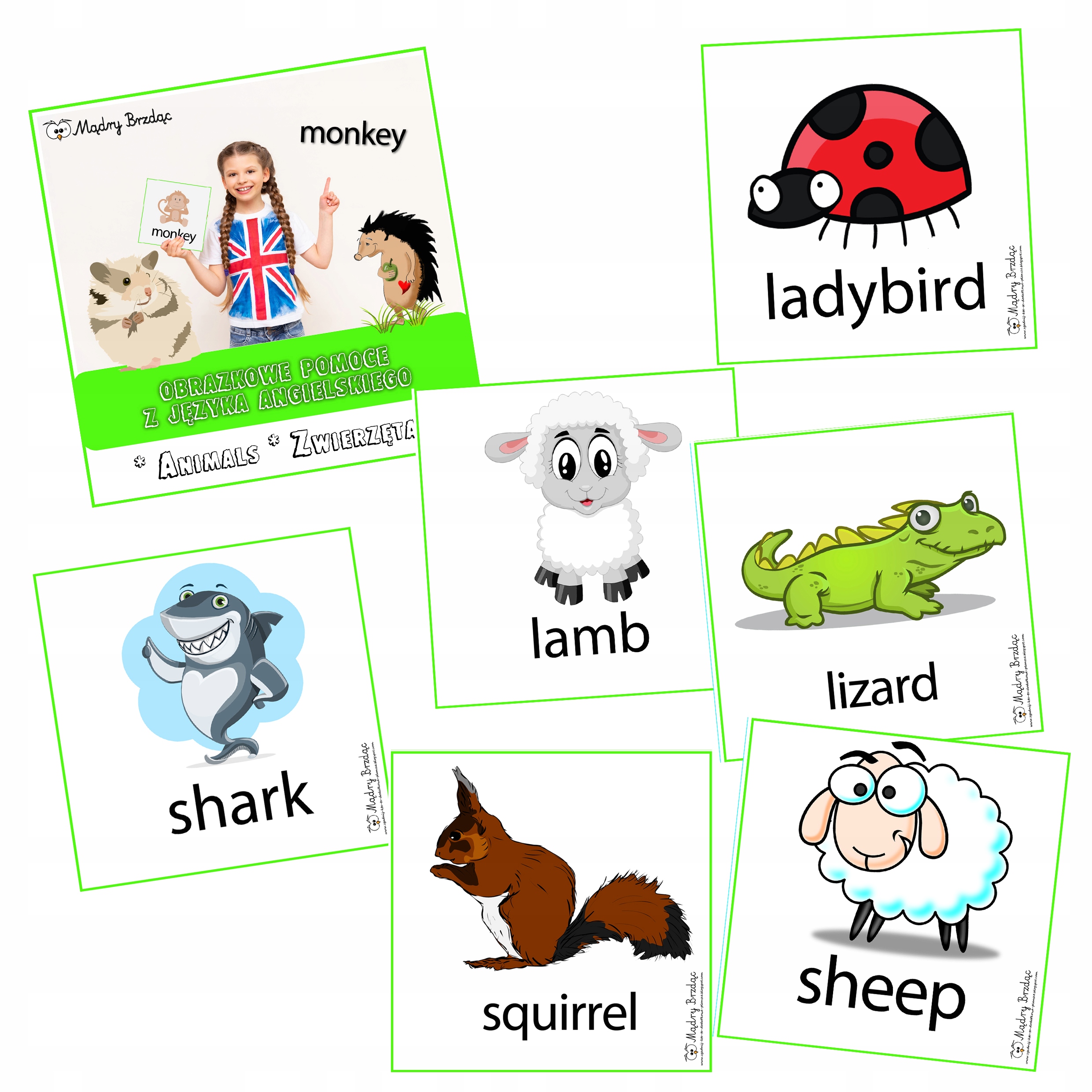 

Klamerkowe Pomoce J. Angielski zwierzęta Animals