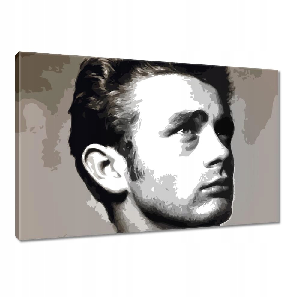 

Obrazy 90x60 Aktor James Dean