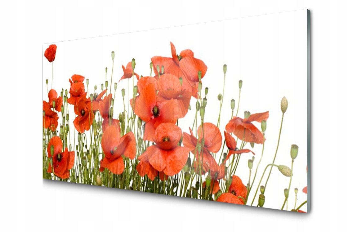 

Panel szklany dekor Maki Roślina 140x70 + Klej
