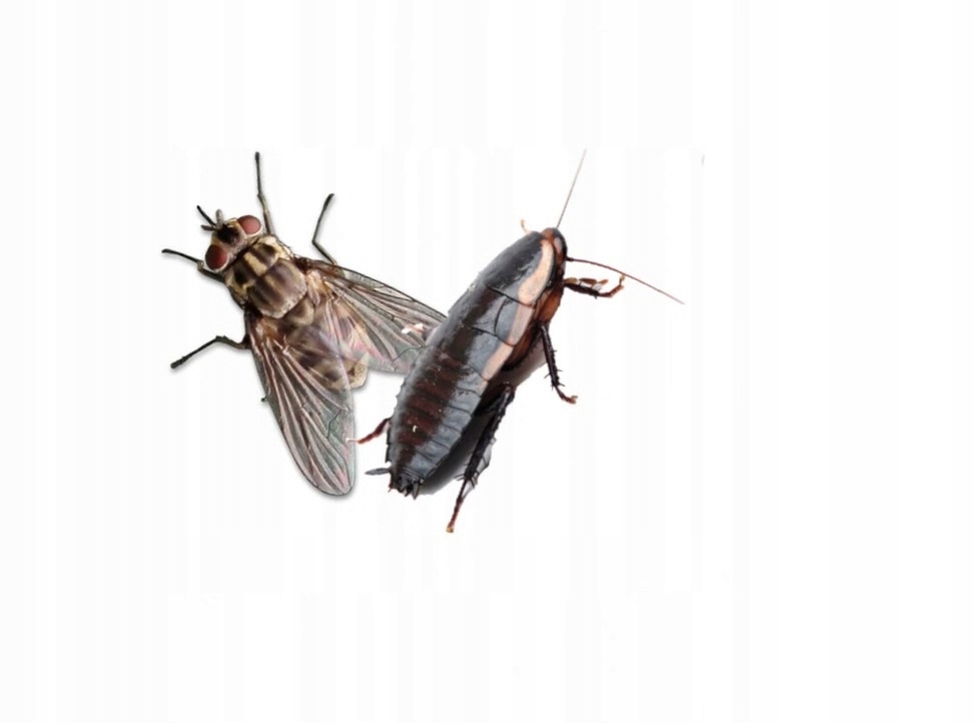 ŚRODEK NA OWADY ZAMGŁAWIANIE - PERME PLUS 250 ML Kod producenta FD3A-475FE_20180511085246