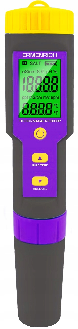 Elektronický test Ermenrich