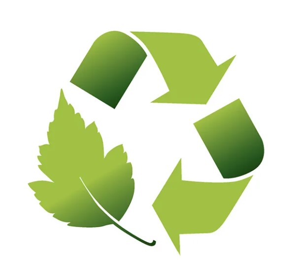 Talerz talerze jednorazowe kwadrat 26x26cm 50szt z trzciny cukrowej sztywne Materiał trzcina cukrowa