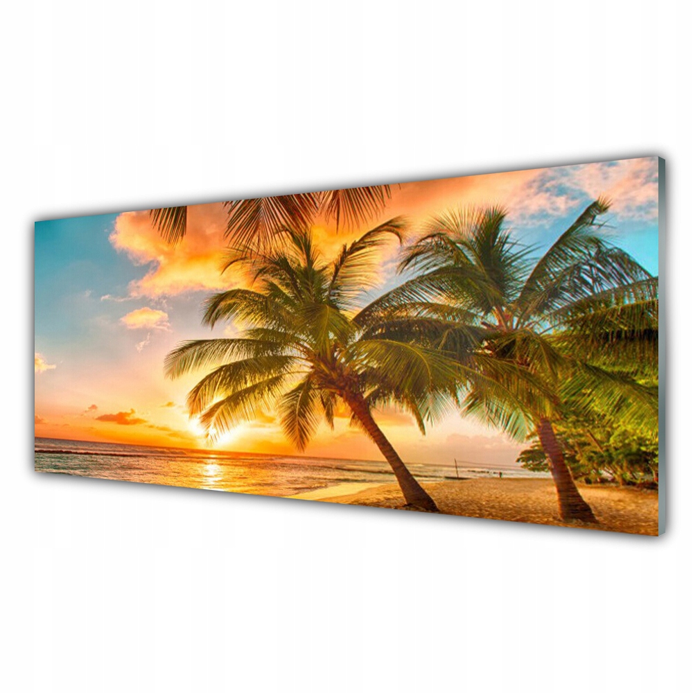 

Obraz akrylowy 125x50 Palma Drzewo Morze Krajobraz