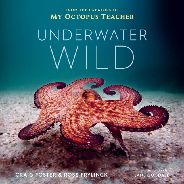 Underwater Wild: My Octopus Teacher's Extraordinary World (2021) Foster