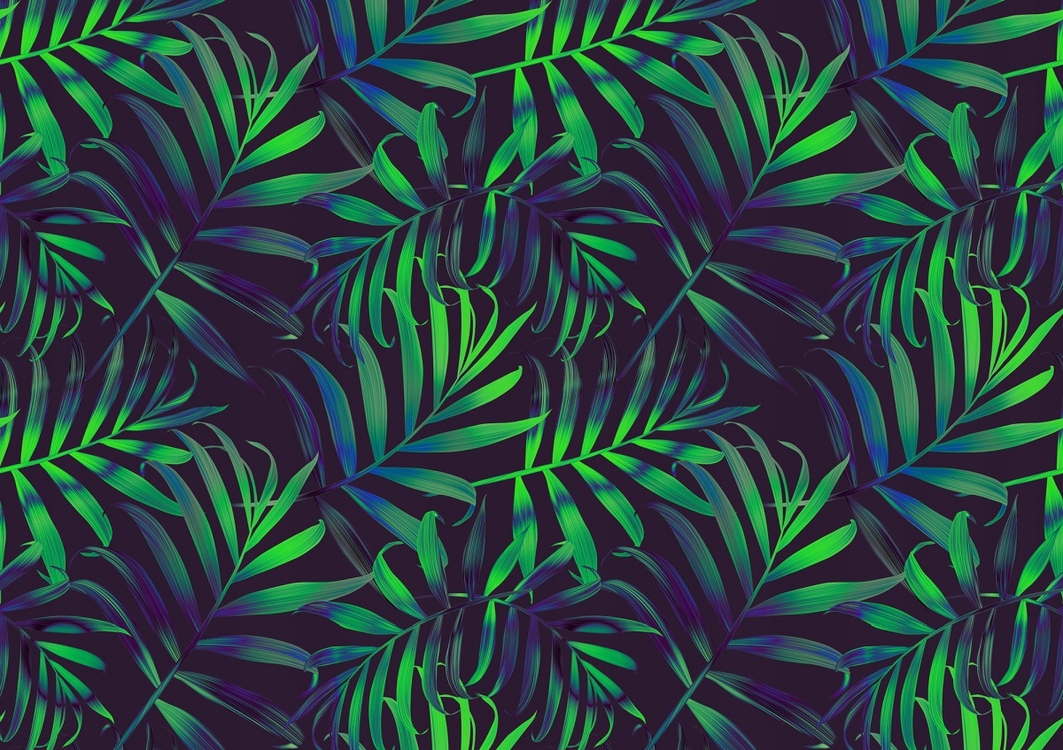 

Fototapeta Flizelina Liście palmy 312x219