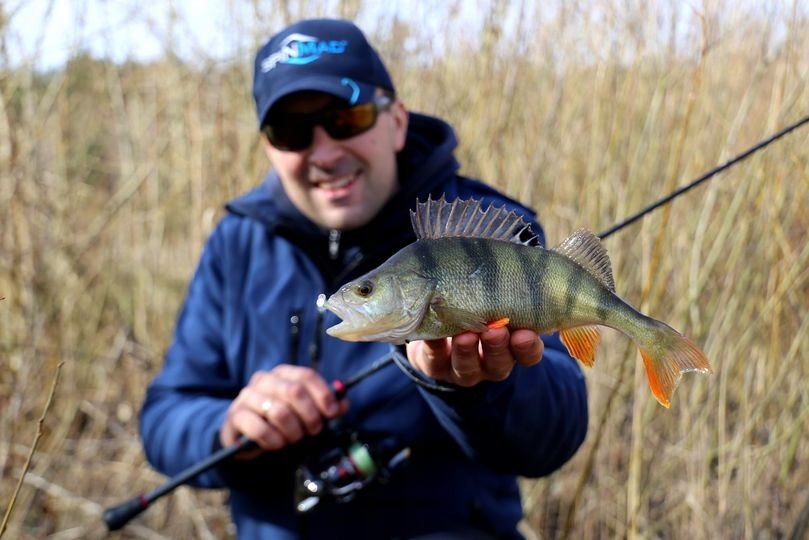 ZESTAW CYKAD SPINMAD UKLJEKA 2,5G 3,3CM -3 KOLORY MIX- PRZYNĘTY SPINNINGOWE Waga 2.5 g