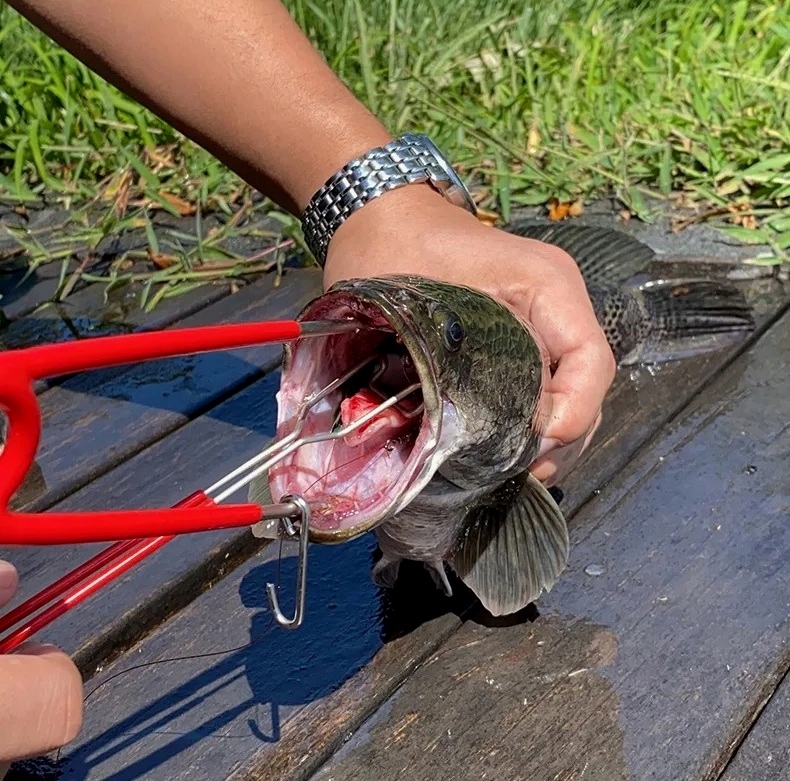 ROZWIERACZ PASZCZY WYHACZACZ KOTWIC DRAPIEŻNIK SZCZUPAK SANDACZ SPINING 2w1 Przeznaczenie do wyhaczania