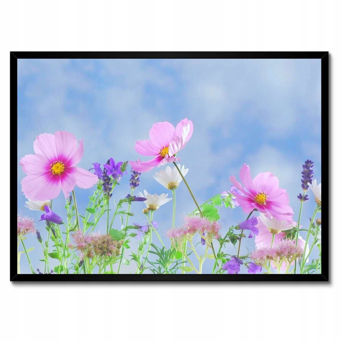 Plakáty v rámu 70x50 Jemné květiny