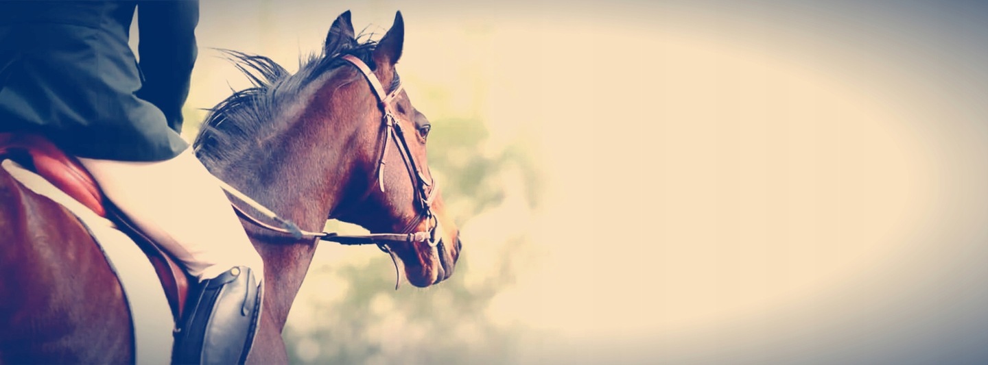 CB67 Ocieplane Rękawice Jeździeckie Riders Skóra Naturalna Futerko XL Marka Riders Trend