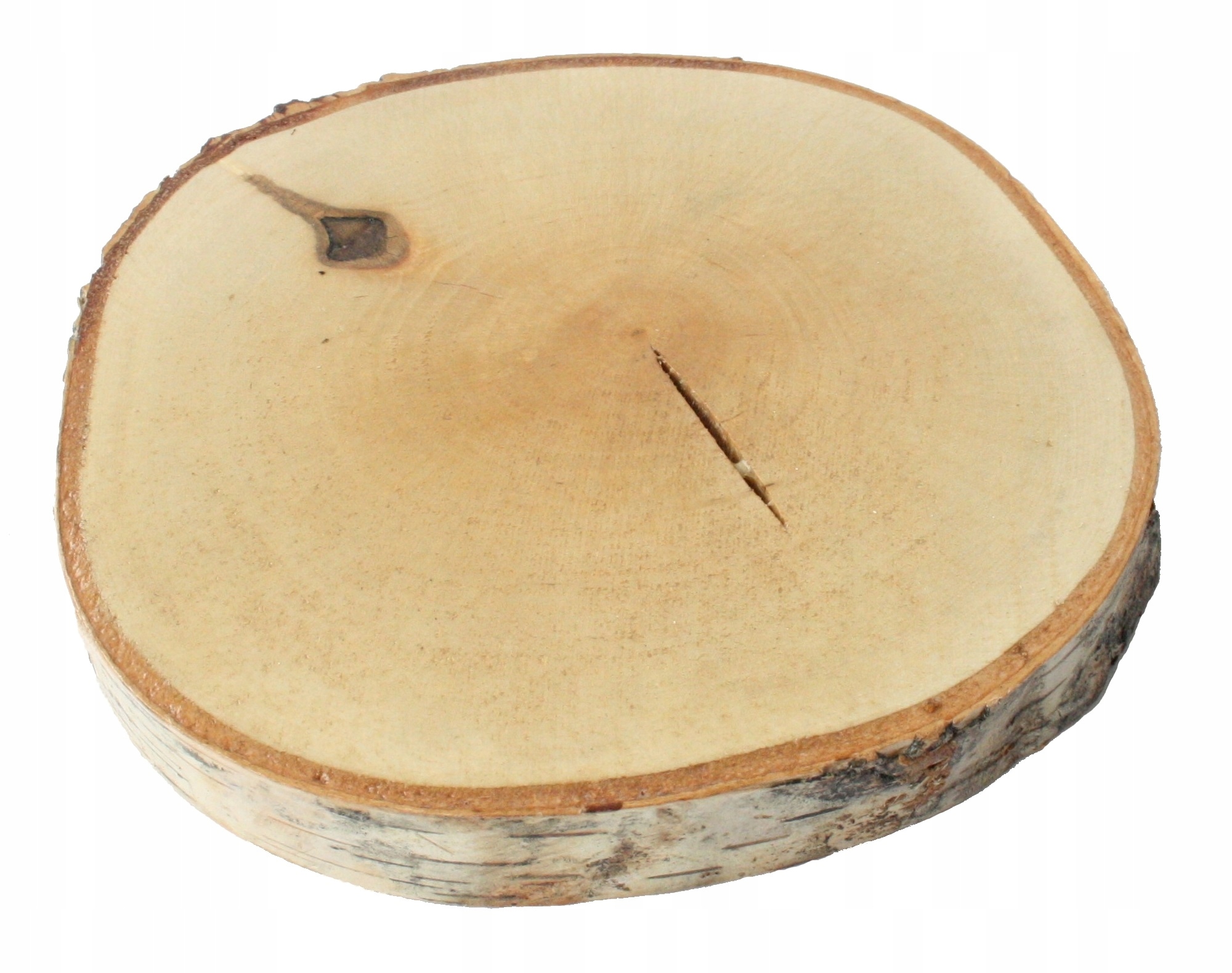 

Szlifowane plastry drewna brzoza 10-12 cm średnicy