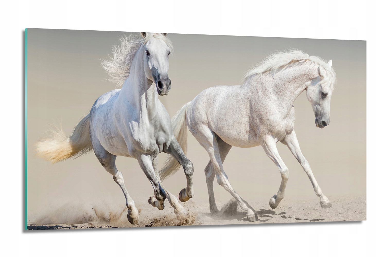 sklenená doska Kone cval kopytá moderná 120x60