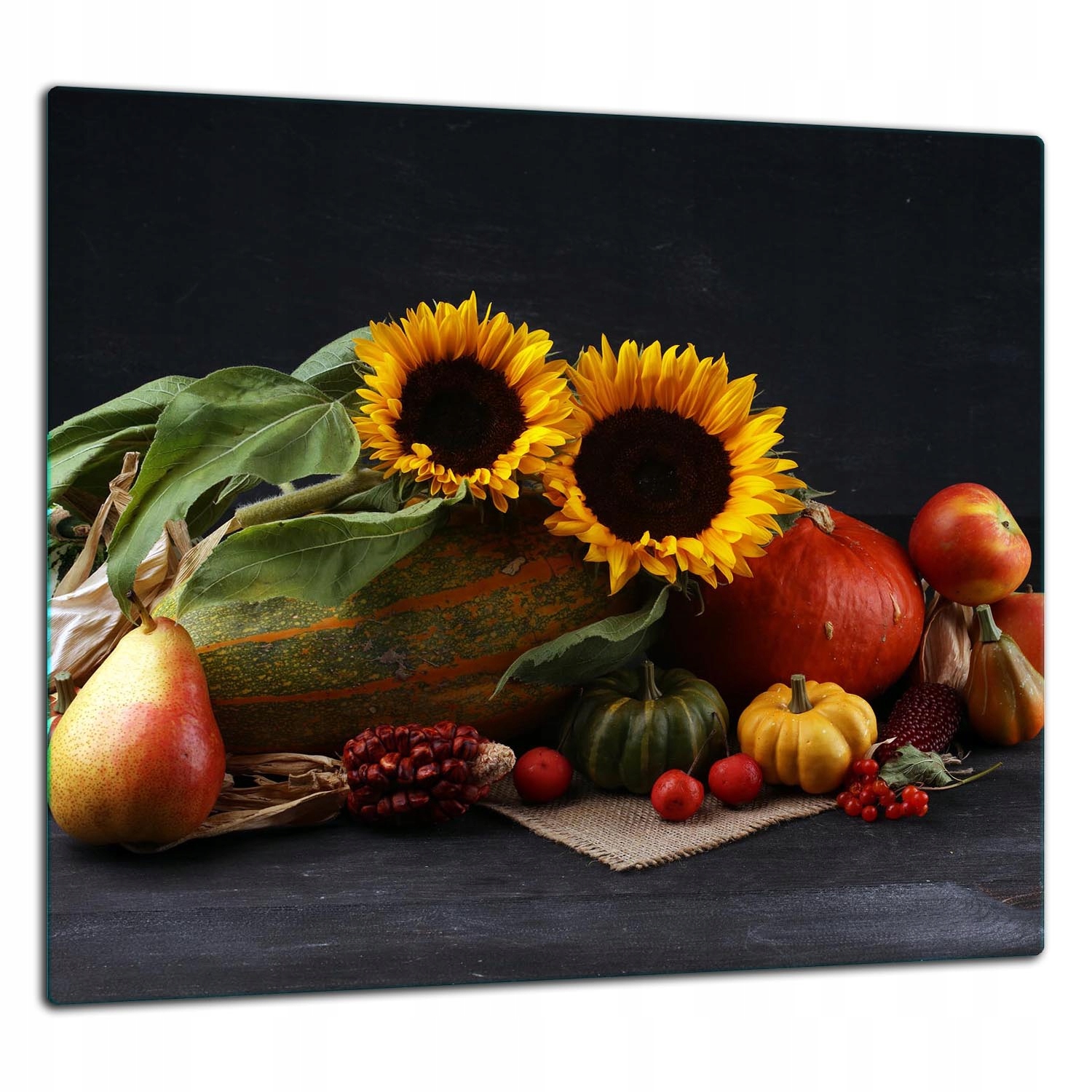 Skleněná Ochranná Deska Panel Lepidlo 65x60 Kuchyně