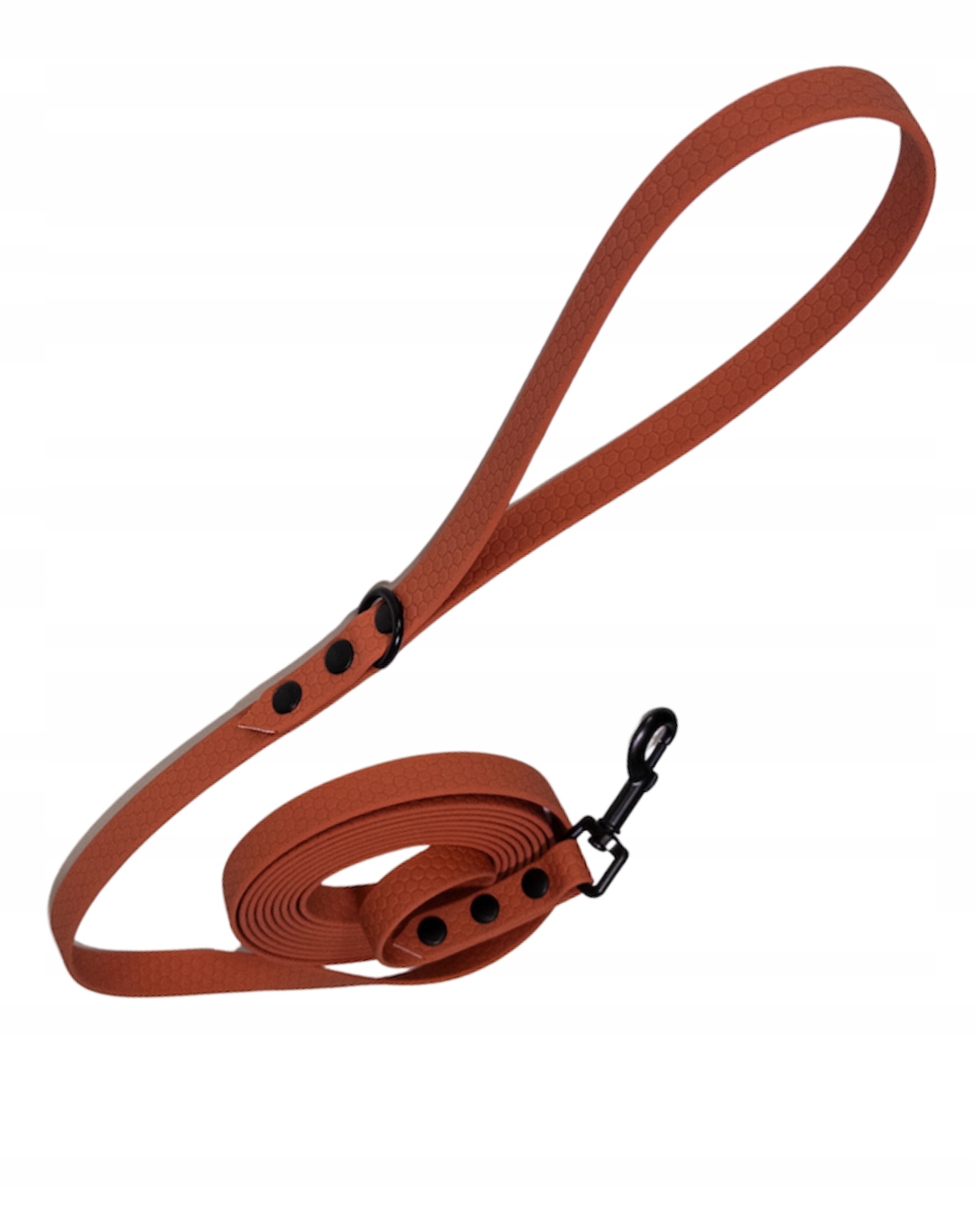 Levně odolné vodítko pro psa 5 m černé kování meruňka