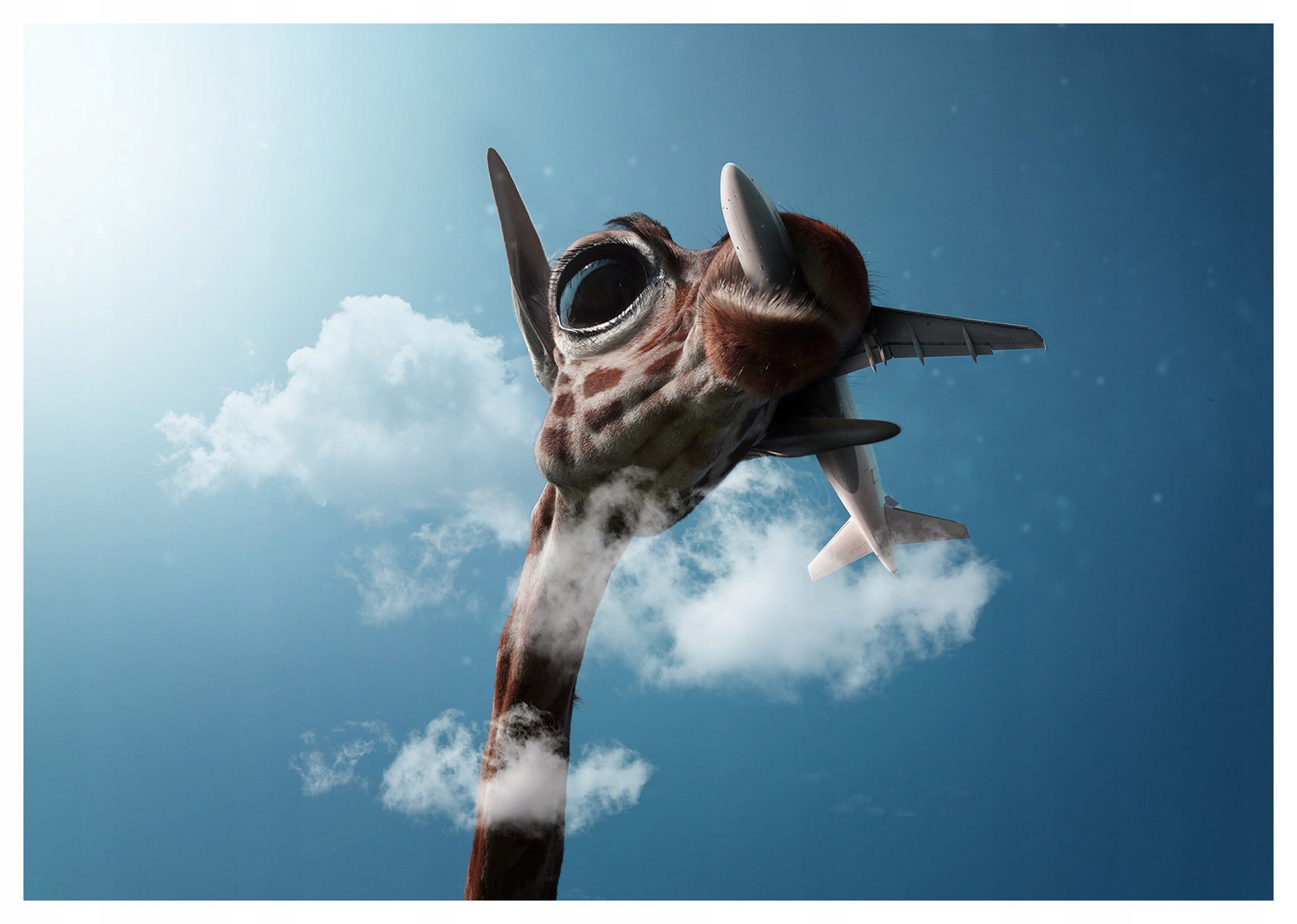 Fototapeta Žirafa Letadlo v oblacích Safari 416x254 do dětského pokoje lepidlo
