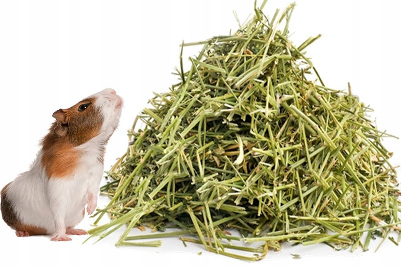 Levně Čerstvé seno pro nejkrásnější prasátko, domácí chov, dobré krmivo 12 kg