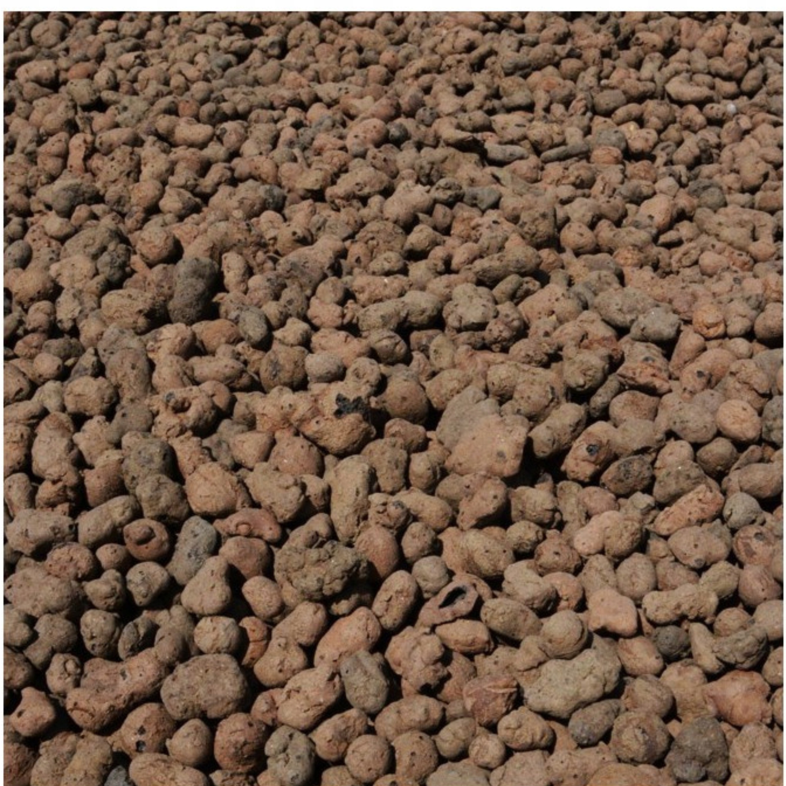 Keramzyt 8-16mm gruby 2 L drenaż do donic Biovita Kod producenta 5907813160837