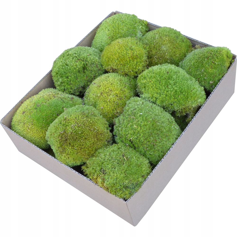 Mech Poduszkowy PREMIUM Jasna Zieleń Karton 0,06m2 Kolor zielony