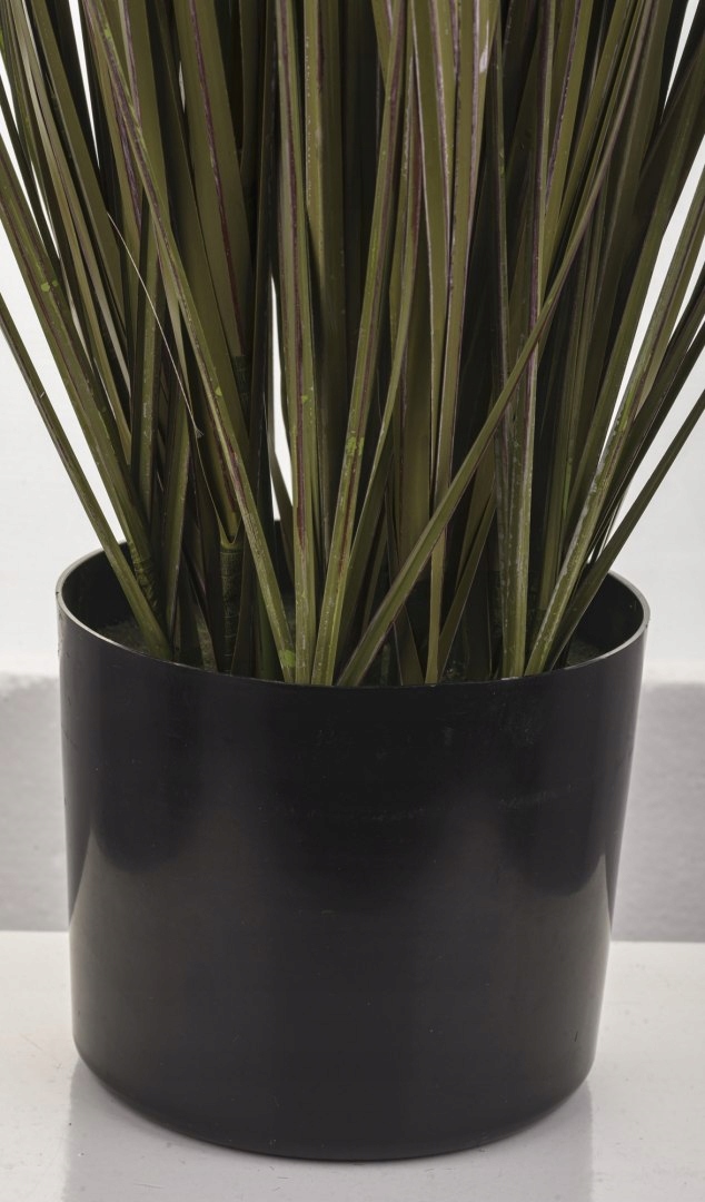 Roślina Dekoracyjna Kod producenta 5902663384808