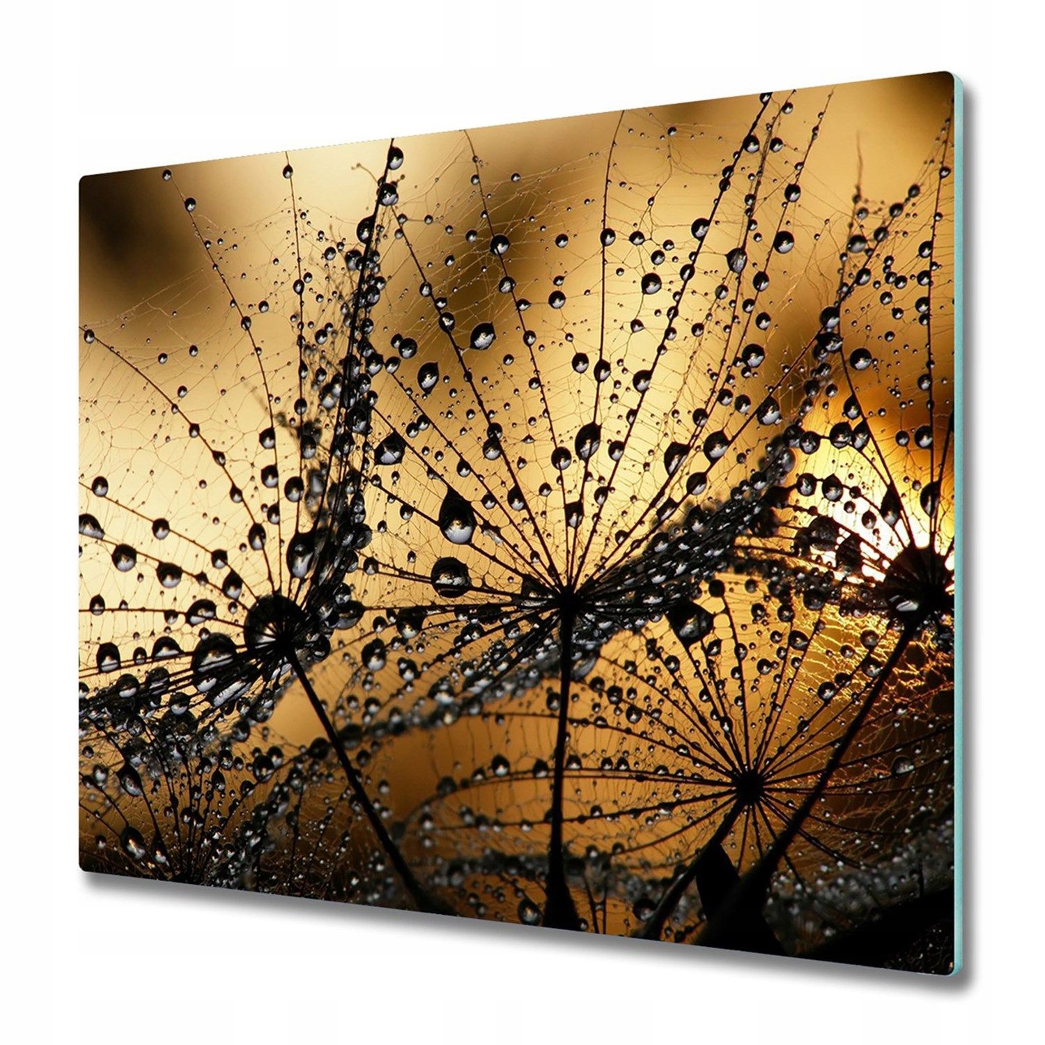 

Osłona płyty indukcyjnej Nasiona dmuchawca 60x52