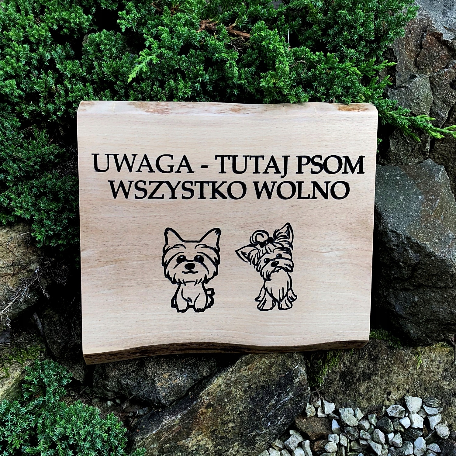 Výstražná tabulka dřevěná tabule Pozor Pes grafika s jménem Psa