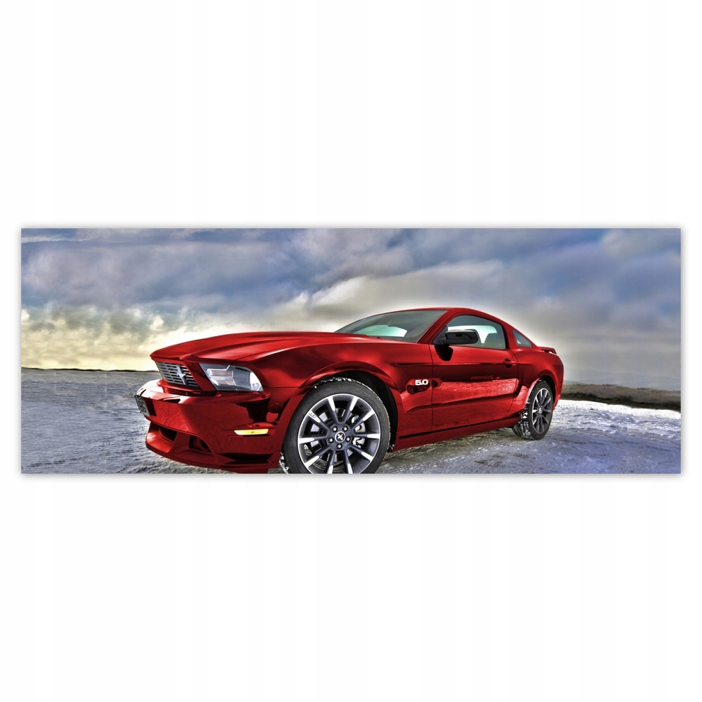 

Fototapety flizelina 250x93 Czerwony Mustang Śnieg