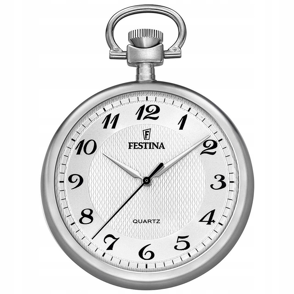 Pánské Hodinky Festina F2020-1 řetízek