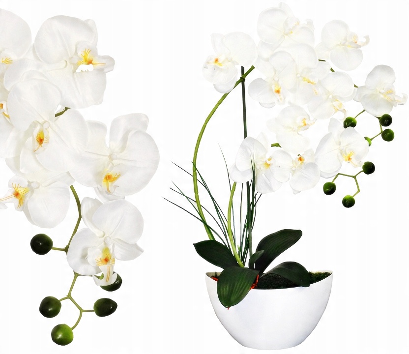 

Storczyk Sztuczny Storczyki Kwiat Orchidea