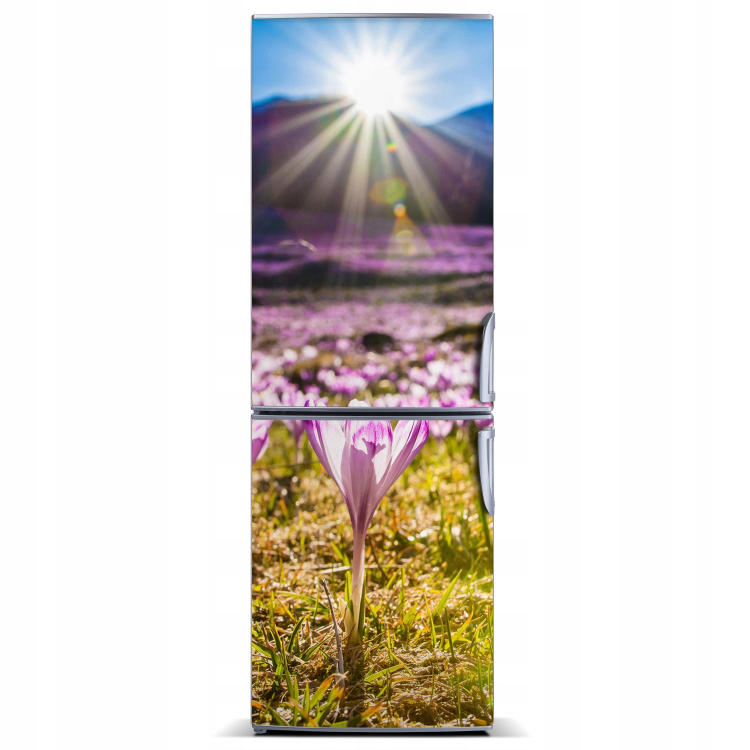 

Magnes na lodówkę Krokusy w górach 60x180