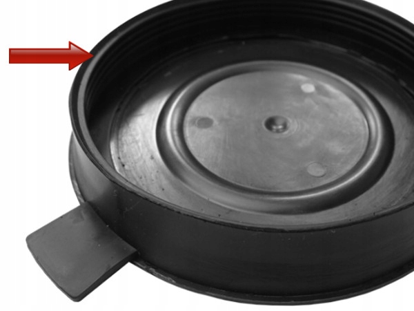 ZAŚLEPKA ŻARÓWKI REFLEKTORA LAMPY DO CLIO III 3 Numer katalogowy części 351170