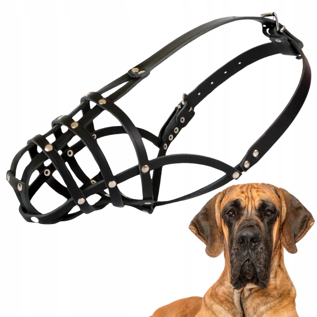 Náhubek pro psa, Dingo Kožený Nýtovaný Č. 11 (obvod 43 cm) Dog