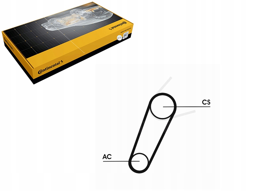 PASEK KLINOWY FORD FOCUS C-MAX 1.8 10.03-03.07 CONTINENTAL CTAM