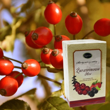 Levně Kawon Ovocný čaj brusinkový Moc 20 X 3 G X2