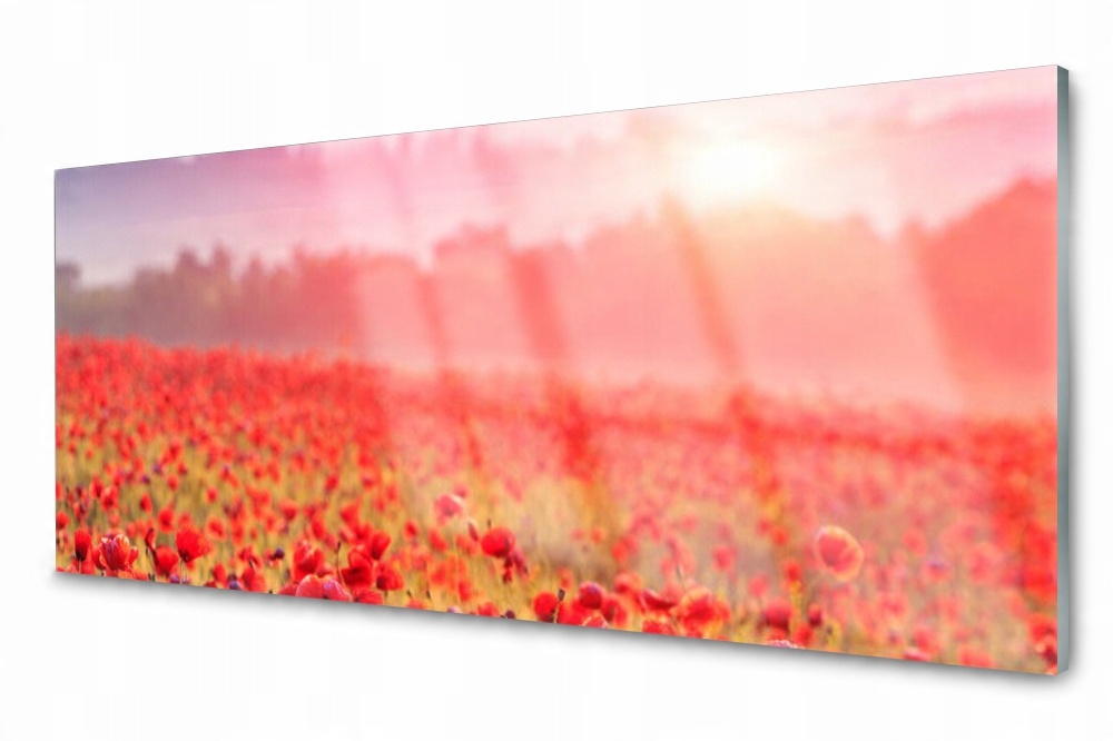 

Panel szklany do kuchni Łąka Kwiaty 125x50