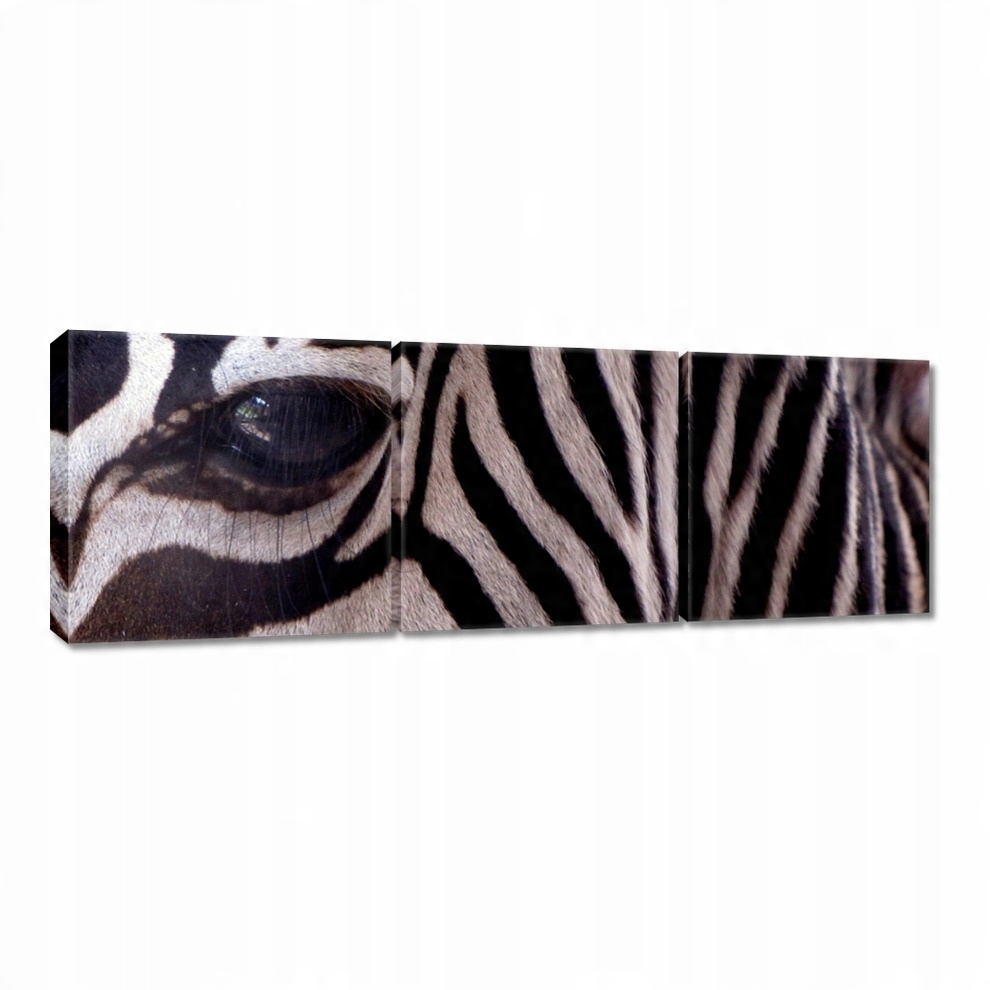 

Obrazy 90x30 Makro fotografia zebra