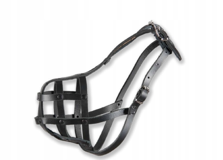 

Dino Kaganiec skóra nit. Rotweiler duży