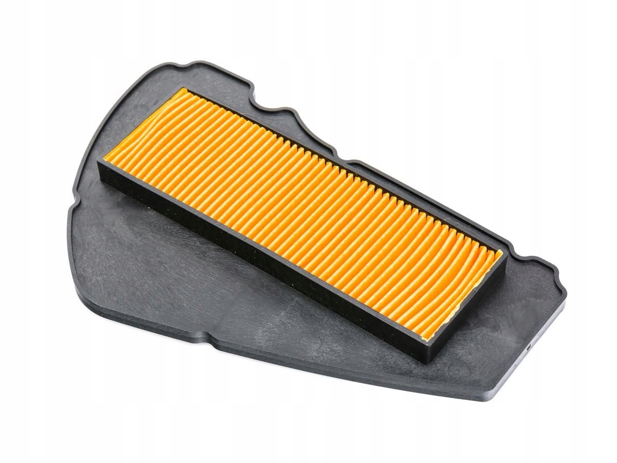 02-3154069 - Воздушный фильтр / картридж / Romet 727S, RXL 50 2018R