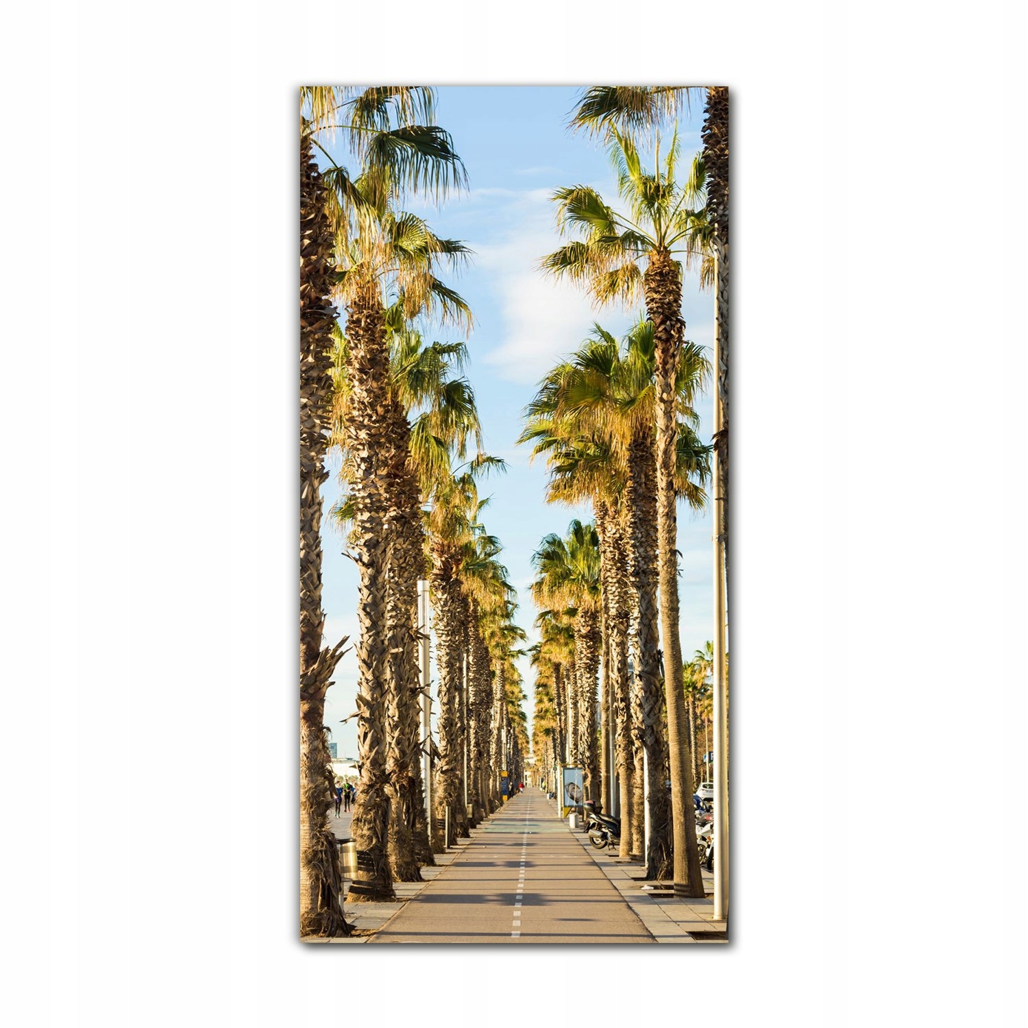 

Obraz ścienny szklany 70x140 Promenada Barcelona