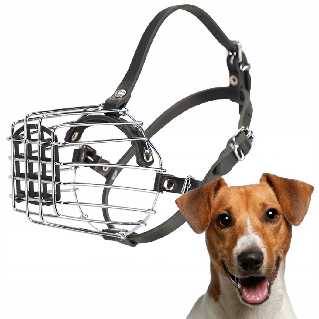 Kaganiec dla psa, metalowy nr 2b (obwód kufy 26cm), Jack Russel Dingo-Zdjęcie-0