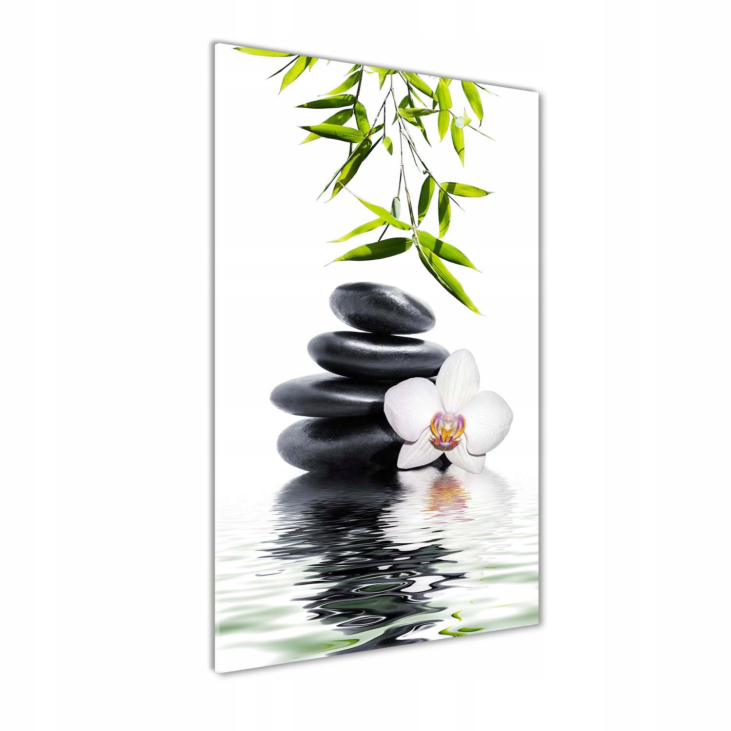 

Foto obraz akrylowy Orchidea i kamienie 70x140cm