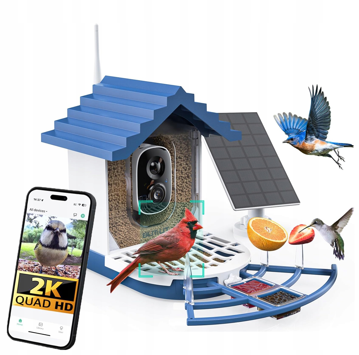 Krmítko pro ptáky s kamerou 2K Identifikuje 10000 druhů ptáků 145°