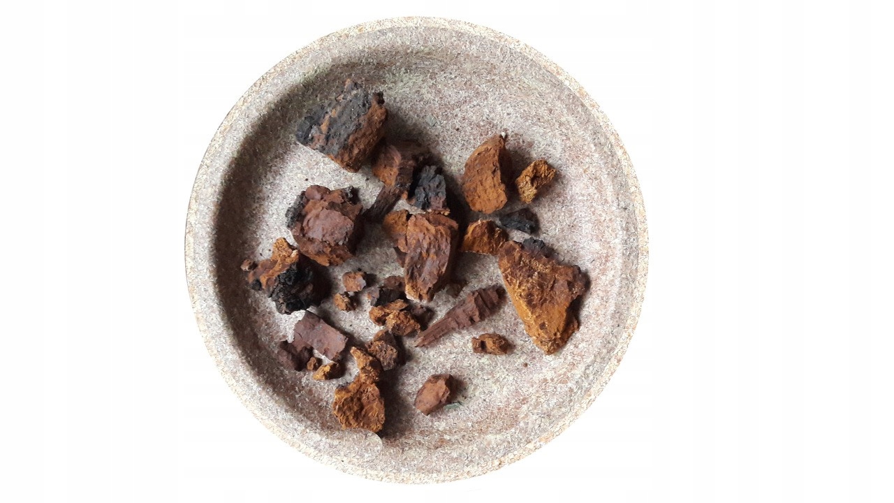 Czaga grzyb (Inonotus obliquus) 500g