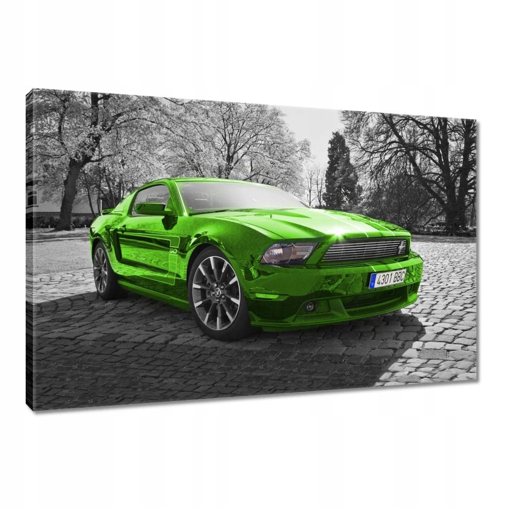 

Obrazy 90x60 Zielony Ford Mustang Usa