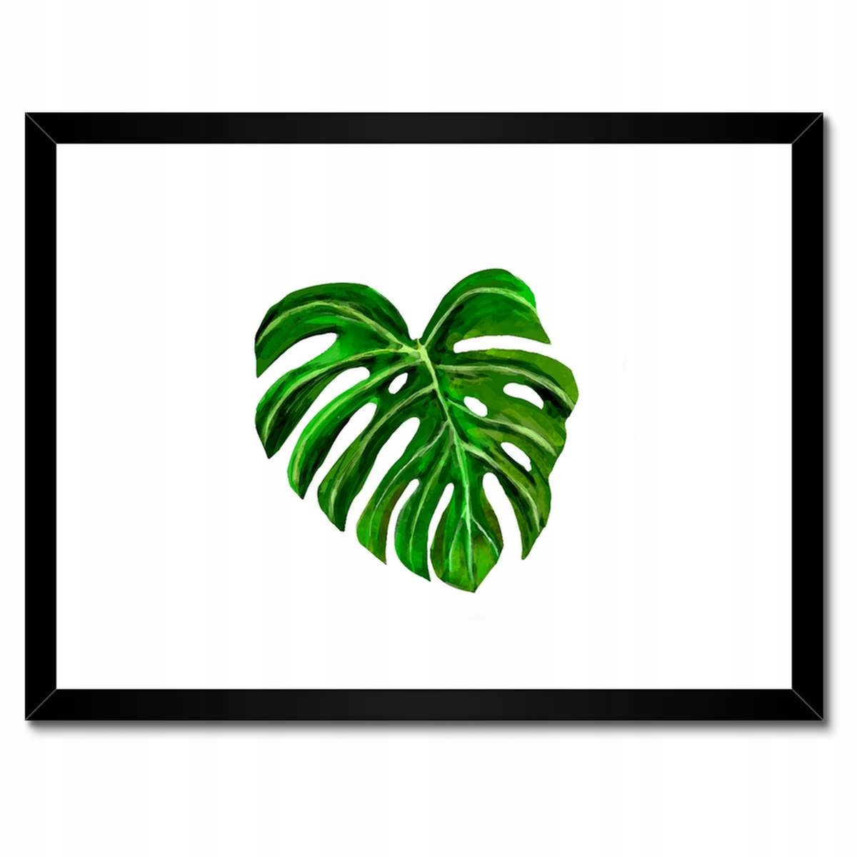 Plakáty v rámu 40x30 List Monsera děravé
