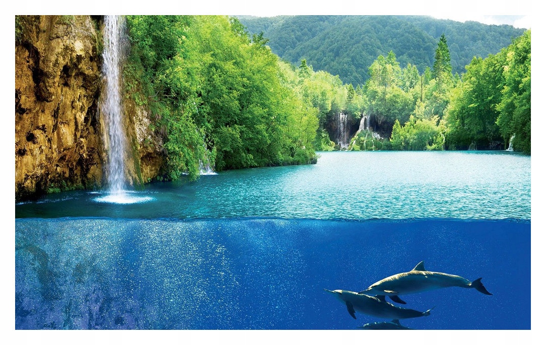 Fototapeta Vodopád Delfíny Les Hra svetla 312x219 vinylová lepidlo