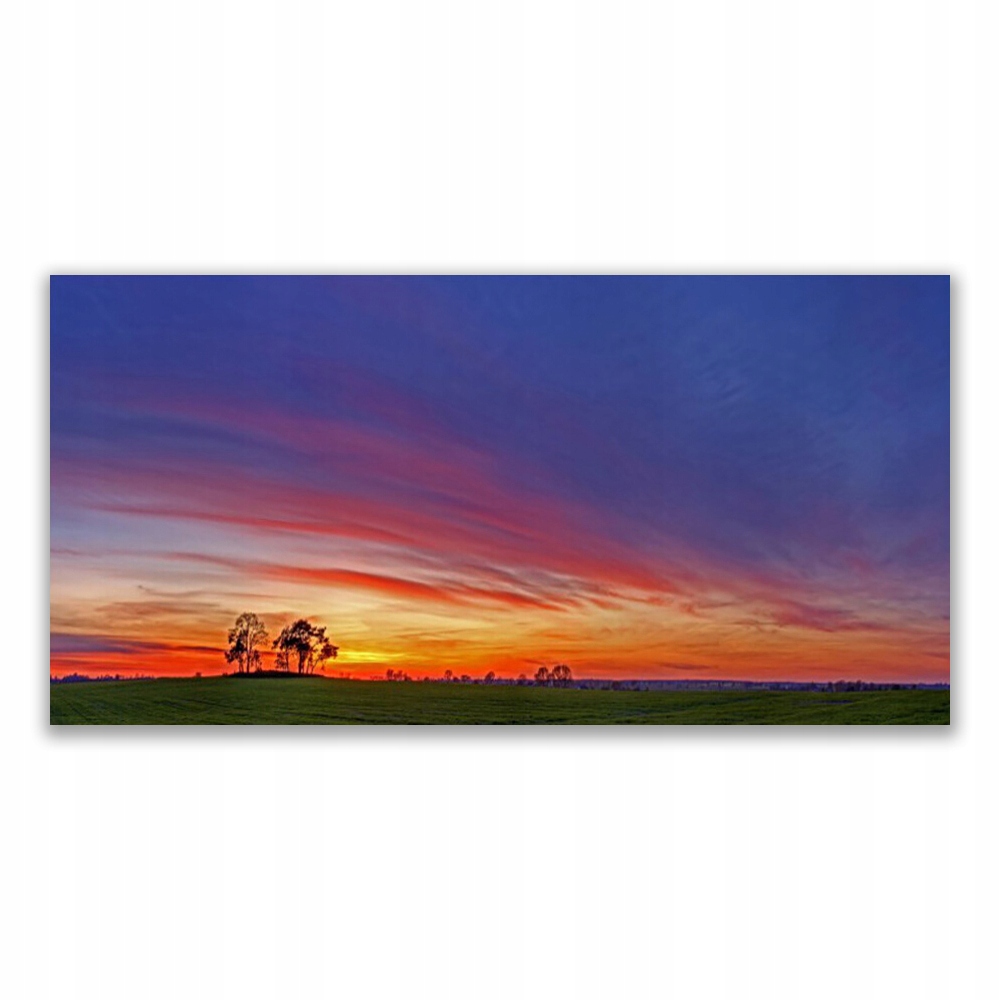 

Obraz akrylowy 120x60 Krajobraz Pole Drzewa Natura