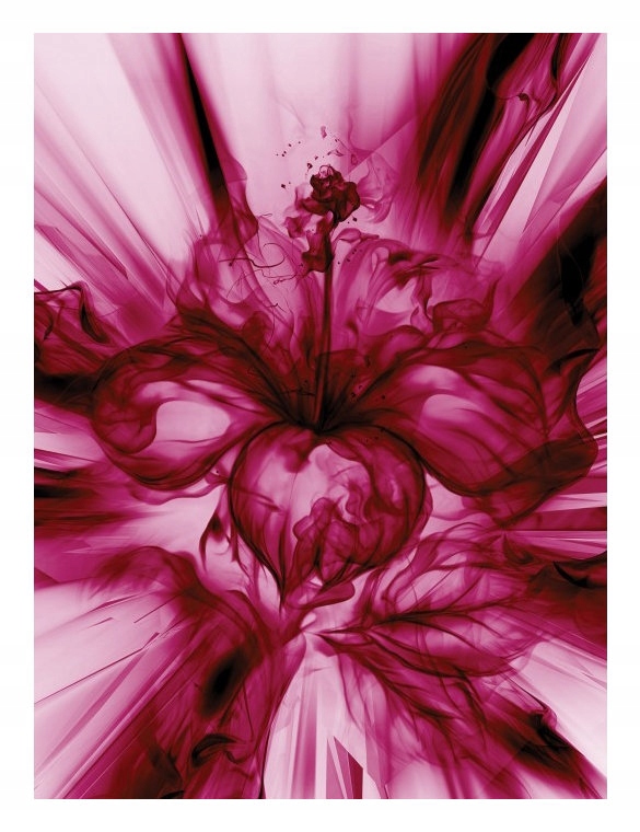 Fototapeta Abstrakcia Ruže vinylové 184x254 Kvetinový akcent Purpurová lepidlo