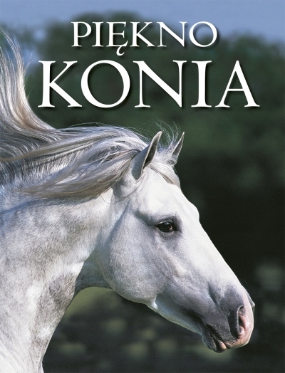 

Piękno konia
