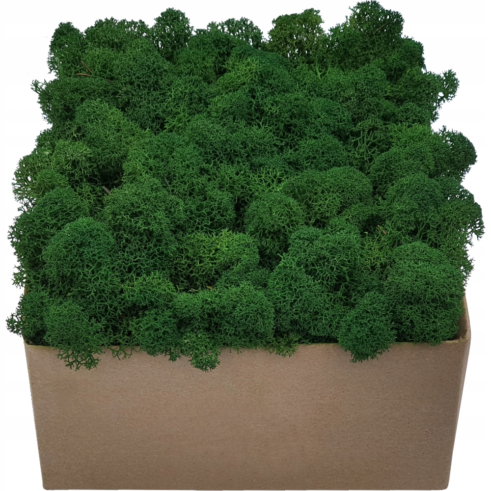 Mech Chrobotek PREMIUM Forest Green Karton 300g