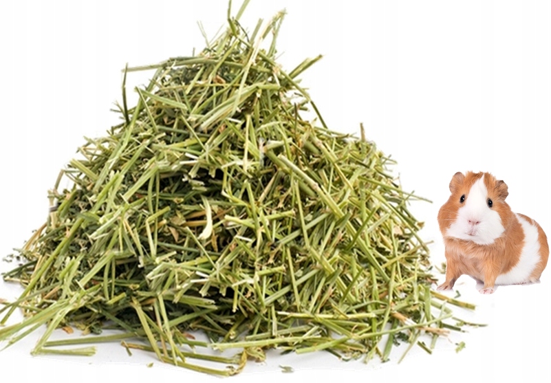 Levně 11 kg sena čerstvého sena pro mini morčata na světě, ekologické